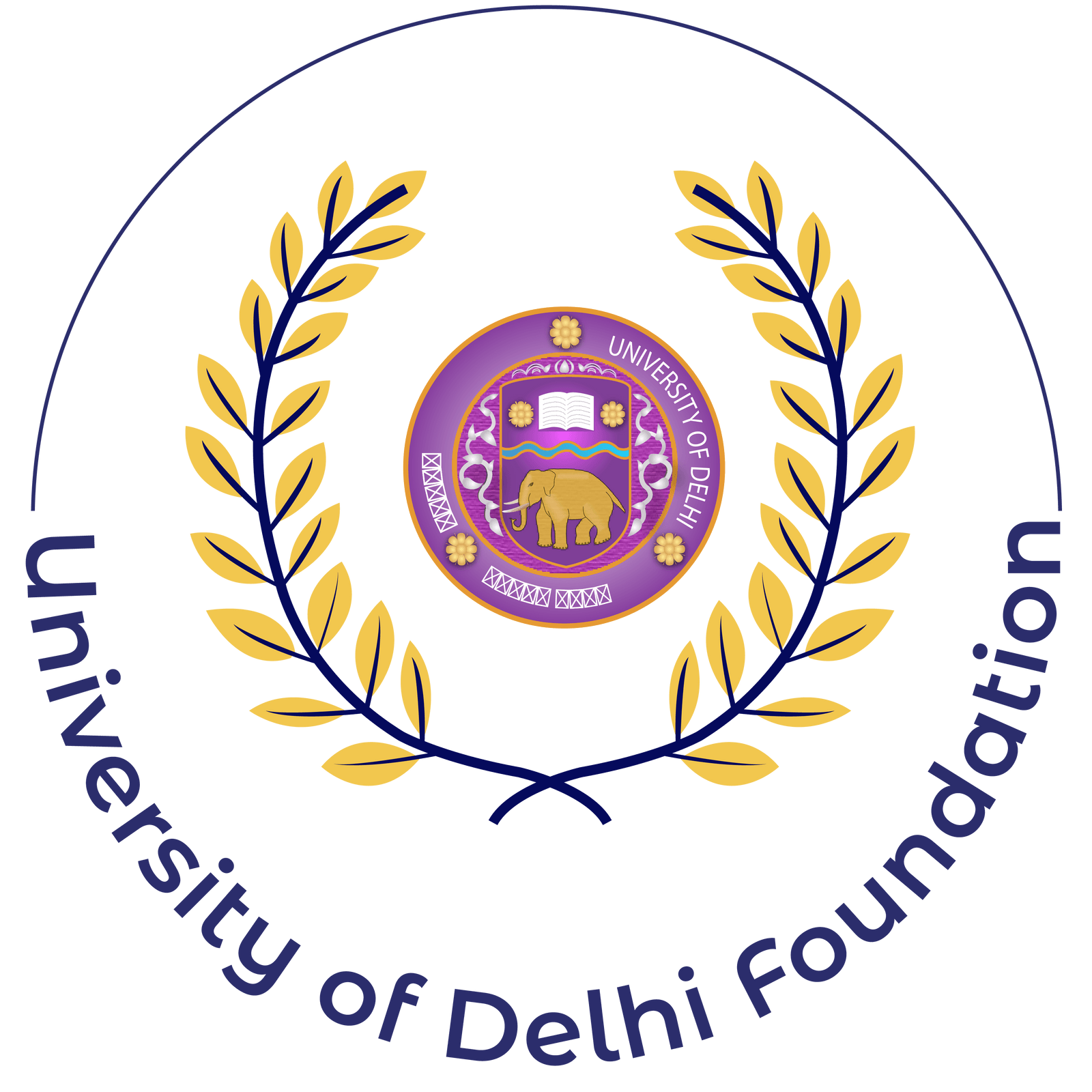 Delhi University Foundation Delhi University Foundation